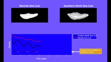 Файл: Shedding-Light-on-Fish-Otolith-Biomineralization-Using-a-Bioenergetic-Approach-pone.0027055.s013.ogv