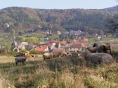 Skalice v pozadí s kaplí Nejsvětější Trojice