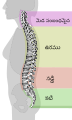 04:55, 19 మార్చి 2019 నాటి కూర్పు నఖచిత్రం