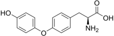 Skeletal formula of L-thyronine