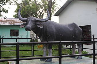 Wild Water Buffalo Statue at Koshi Tappu Wildlife Reserve