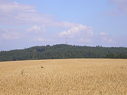 Zadní hora ve Stařečské pahorkatině