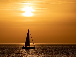 Westerschelde látképe a tengerpartról (Zoutelande, Zeeland, Hollandia)