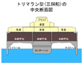 2008年2月27日 (水) 10:46時点における版のサムネイル