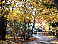 A house in Dix Hills in October 2009.