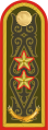 Генерал-лейтенант General-leytenant[२८] (Kazakh Ground Forces)