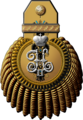 Генерал-адъютант в чине адмирала (свитский вензель на эполете 1904—1917 гг.)
