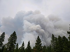 El Incendio Whaleback en 31 de julio de 2018.