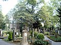 Blick auf den Alten Friedhof in Bonn