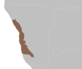 Vignette pour Désert du Namib