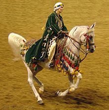 A gray horse being ridden by a person in red, black, and white Arabic-styled robes with a white Arabic-style head covering. The saddle cloth and reins are also covered in ornamented cloth with tassels.