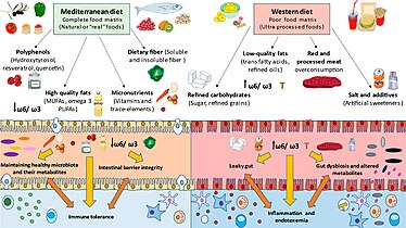 A general overview of the main nutritional components modulating both gut microbiota and immune system