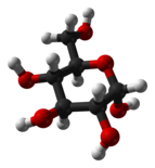 From left to right: Haworth projections and ball-and-stick structures of the α- and β- anomers of D-glucopyranose (top row) and D-glucofuranose (bottom row)