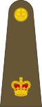 British Army OF-3.svg