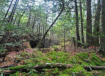 The Brule Glacial Spillway appears much as it did in pre-settlement times