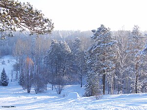 Ботсад взимку