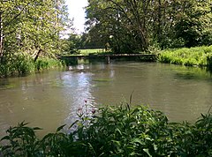 Confluence et séparation de deux bras de la Bresle