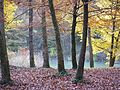 Le parc naturel régional de Lorraine