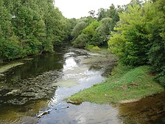 La rivière Creuse en direction de Preuilly-la-Ville en 2011.