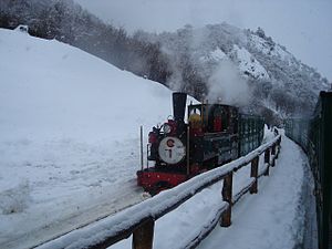 南フエゴ鉄道の蒸気機関車と車両