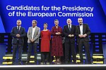 Miniatuur voor Verkiezingen voor het Europees Parlement 2019