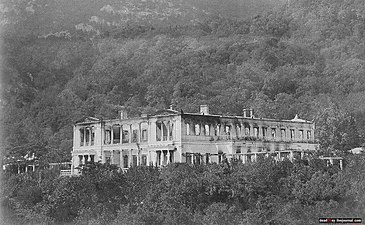 Сгоревший дворец, 1882 г