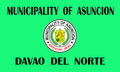 Flag of Asuncion