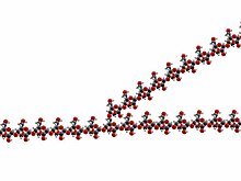 A view of the atomic structure of a single branched strand of glucose units in a glycogen molecule. Glycogen spacefilling model.jpg