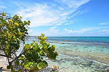 Sur les îles de la Petite-Terre