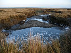 Humboldt bay eureka (377591062).jpg