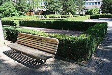 Vue générale du jardin avec un banc et à l'arrière-plan les haies végétales de localisation des murs des thermes