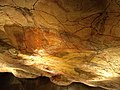 アルタミラ洞窟壁画のレプリカ