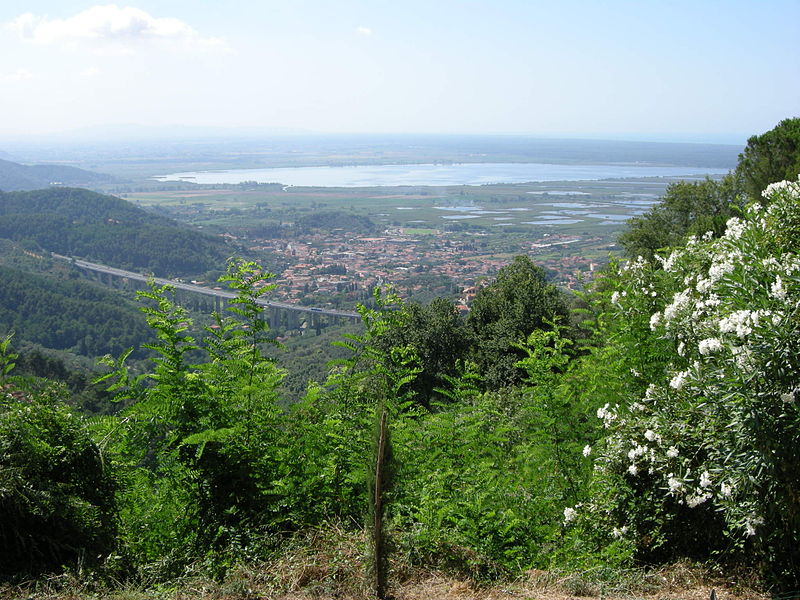 File:Lago di massaciuccoli, view 01.JPG