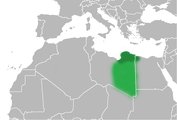 Kirenajka u Libiji