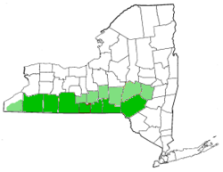      Core Southern Tier counties      Peripheral counties