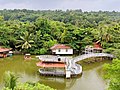 Fish feeding bridge