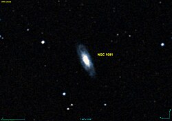 NGC 1081