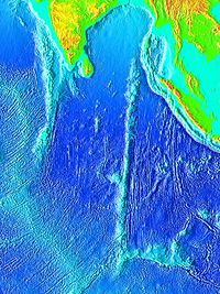 This shows the topography of the Indian Ocean, including the Ninety East Ridge.