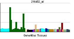 PBB GE TRPM3 216452 ĉe tn.png