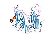 1yjk: Reduced Peptidylglycine Alpha-Hydroxylating Monooxygenase (PHM) in a New Crystal Form