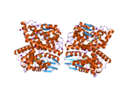 2c3q: HUMAN GLUTATHIONE-S-TRANSFERASE T1-1 W234R MUTANT, COMPLEX WITH S-HEXYLGLUTATHIONE