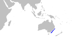 Phạm vi phân bố cá nhám cưa Đông Australia