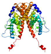 Protein ESR1 PDB 1a52.png