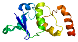 Протеин KCND2 PDB 1nn7.png