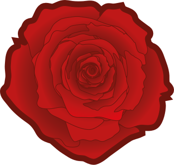 350px-Red_rose_02.svg.png