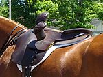 Sidesaddle, with 2 pommels. Sidesaddle back Devon PA.jpg