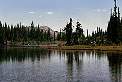 Jedno z jezer na území divočiny.