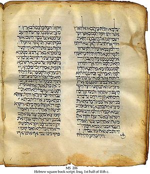 11th century Hebrew Bible with targum, perhaps...