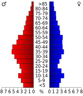 Bevolkingspiramide Buckingham County