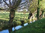 Vignette pour Marais-Vernier (région)